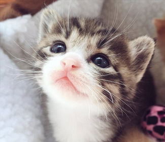 低空無人機測繪：高效、精確、廣泛應(yīng)用的新興技術(shù)